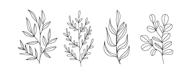 Vector branches and leaves on a white background