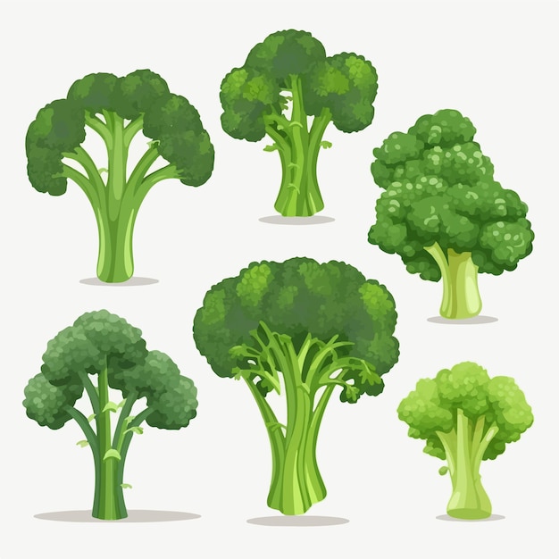 Vector broccoli illustraties met een leuke grillige stijl