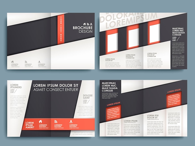 Vector vector brochure layout design template