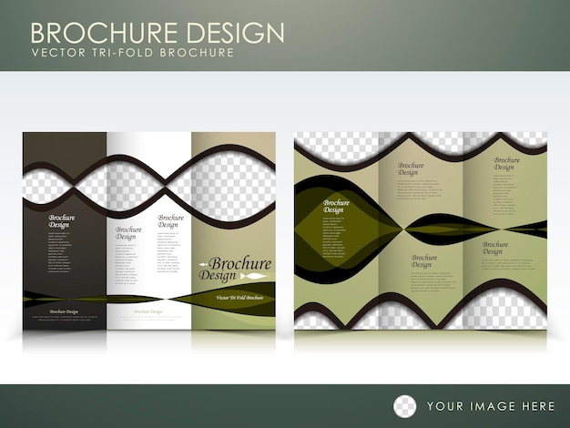 Vector brochure layout design template