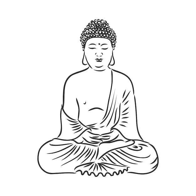 Vector Buddha in line hand drawn sketch style on white background buddha