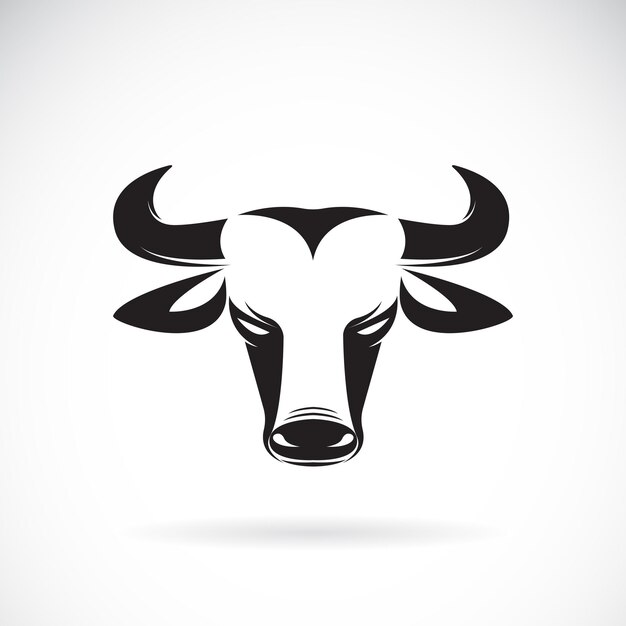 Vector of bull haed on white background.