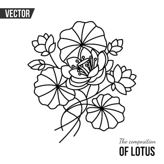 Vector bush lotus op witte achtergrond