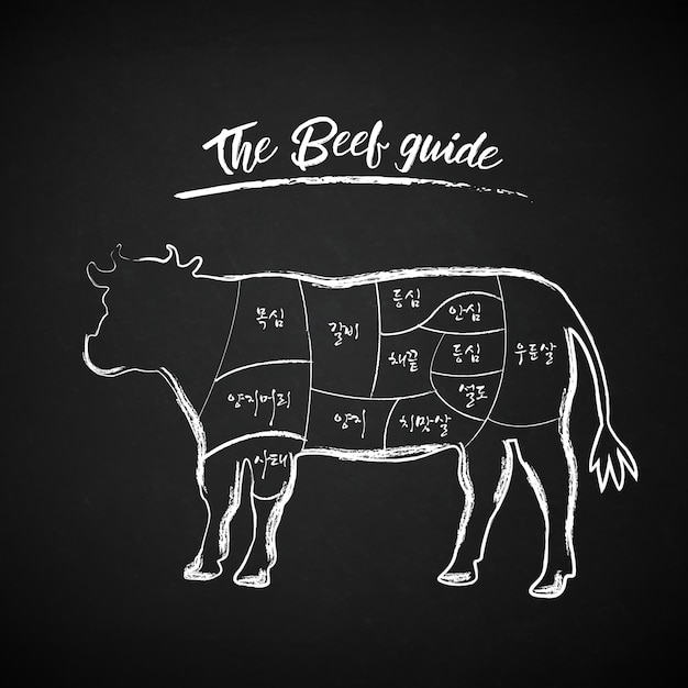 Vector vector butcher's guide to beef and pork cutting. 
drawing on blackboard