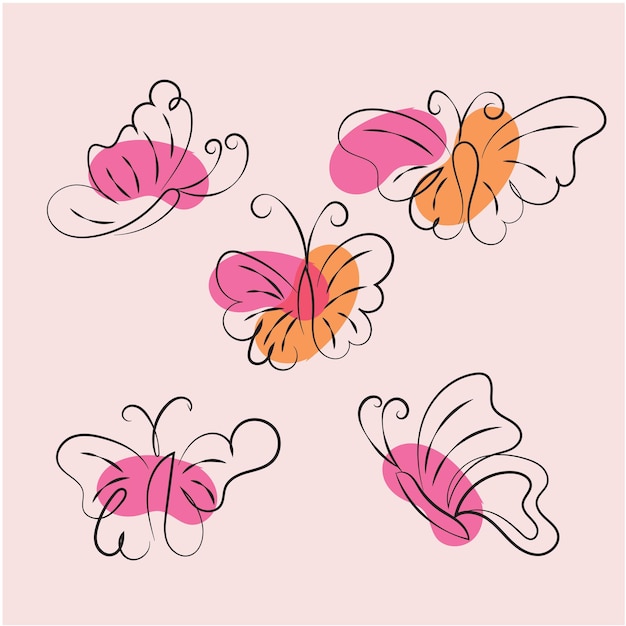 vector butterfly outline with drawn details collection