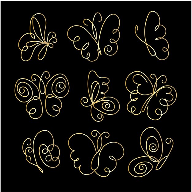 vector butterfly outline with drawn details collection