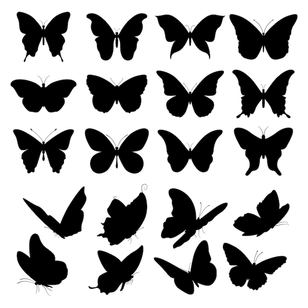 Vector vector butterfly silhouette