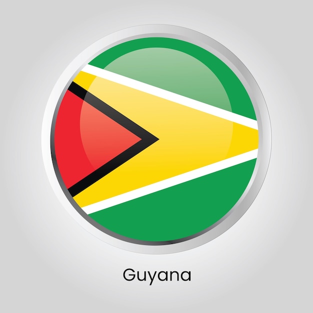 Vector button flag of Guyana State of South America on round frame