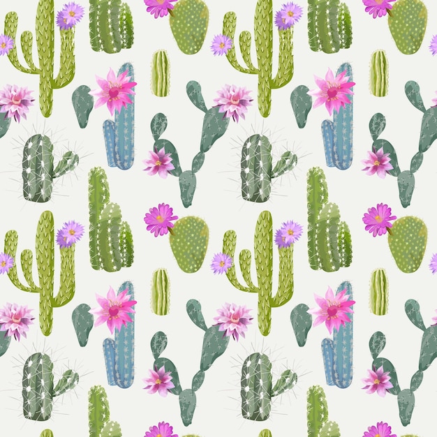 Vector cactus background. seamless pattern. exotic plant. tropical background.