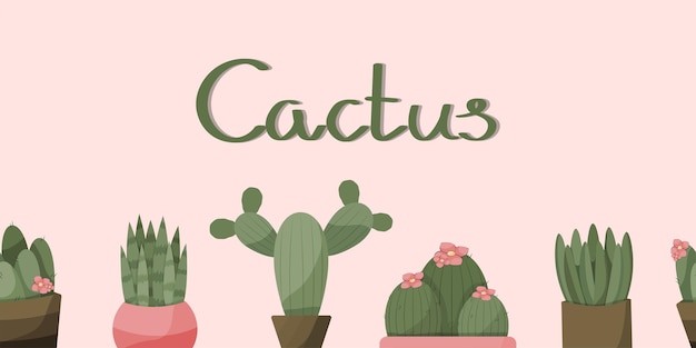Vector Cactus Cactussen in Bloempotten Collectie Naadloze Rand