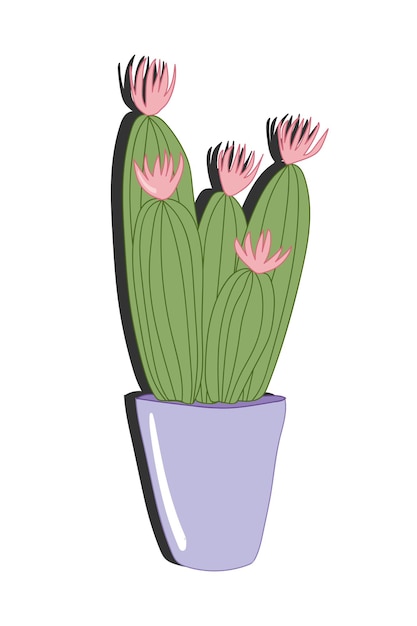 Vector cactus illustration with pink flowers Cartoon flat style Green cactus flower in purple pot Design for stickers decoration