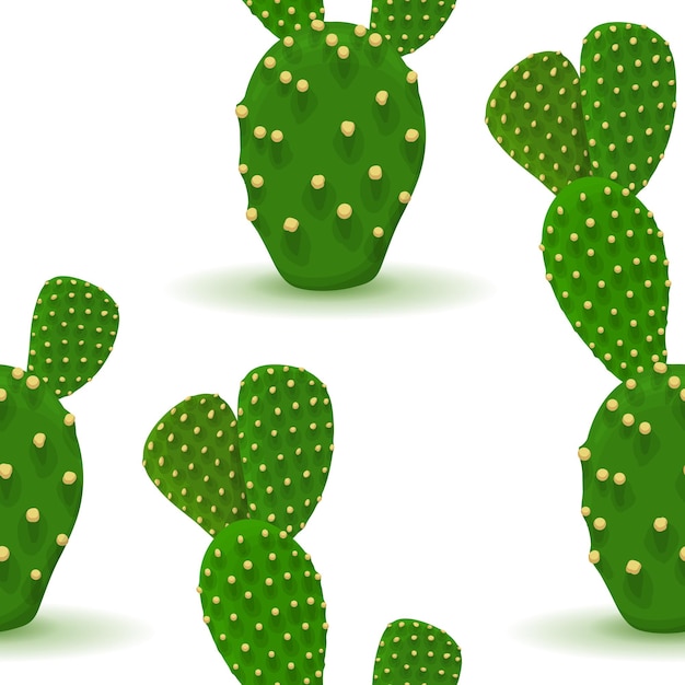 Vector cactus naadloos patroon