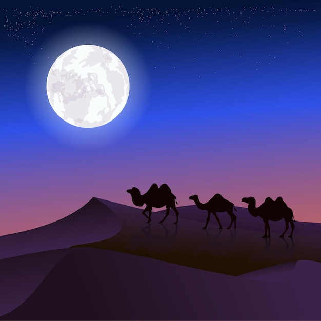 Vector Camels in the night desert Starry sky