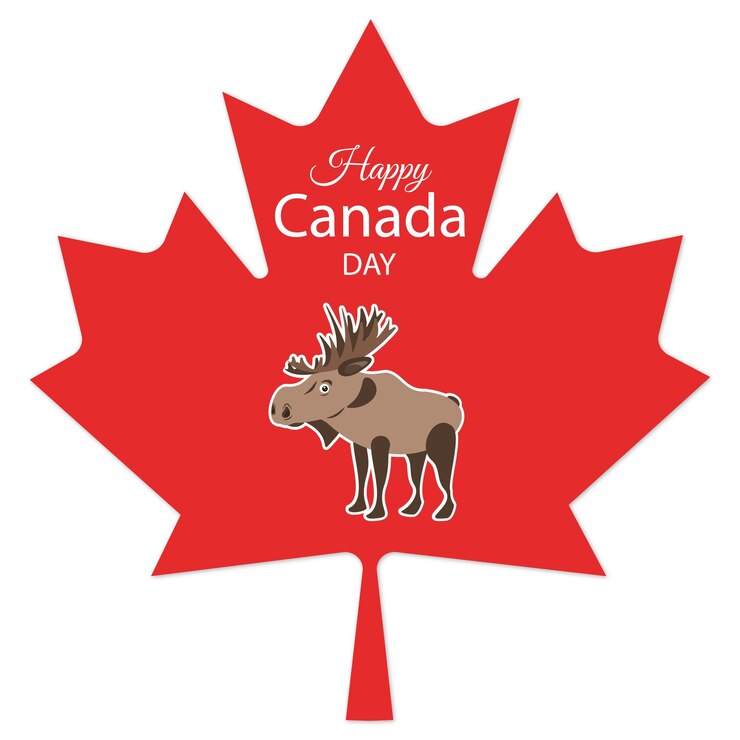 वेक्टर vector canada day greeting card with maple leaf
