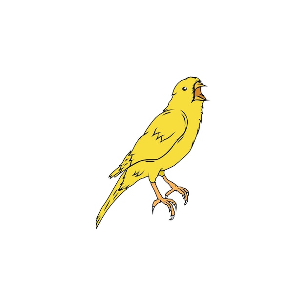 Vector vector canary bird