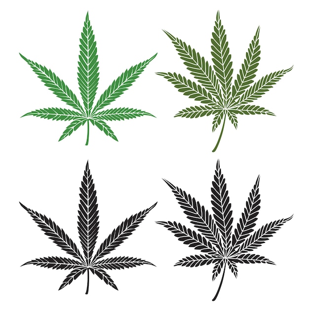 Vector cannabis leaves set - green plant isolated on white, medical and farm marijuana silhouettes.