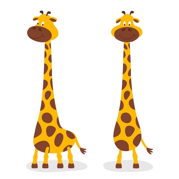 Векторный мультфильм cute giraffe baby set изолированные два полноразмерных жирафа дизайн шаблона для печати карты измеритель роста child kid concept tall funny hand drawn giraffe icon детская иллюстрация