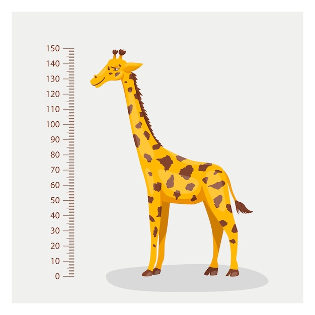 Vector Cartoon Cute Giraffe with Ruler Growth Meter Full Length Giraffe Design Template Child Kid Baby Concept Tall Funny Hand Drawn Giraffe Children s Illustration