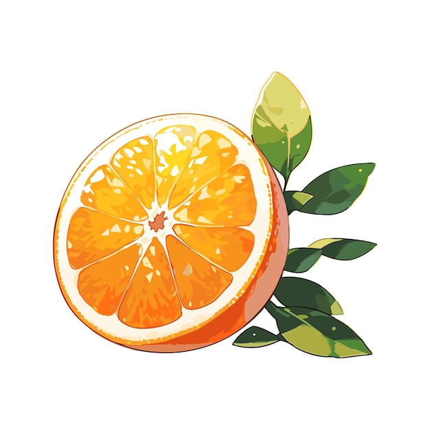 Vettore vector cartoon frutta dettagliata arancia frutta dolce illustrazione vettoriale eps
