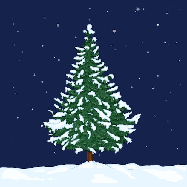 Vector cartoon evergreen pine tree in snowy winter night