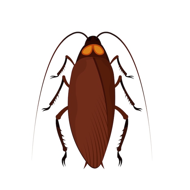 Vector cartoon grappige kever kakkerlak mug collectie bugs