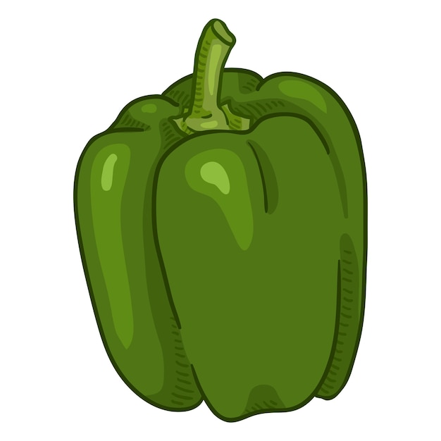 Vector Cartoon Green Paprika Pepper