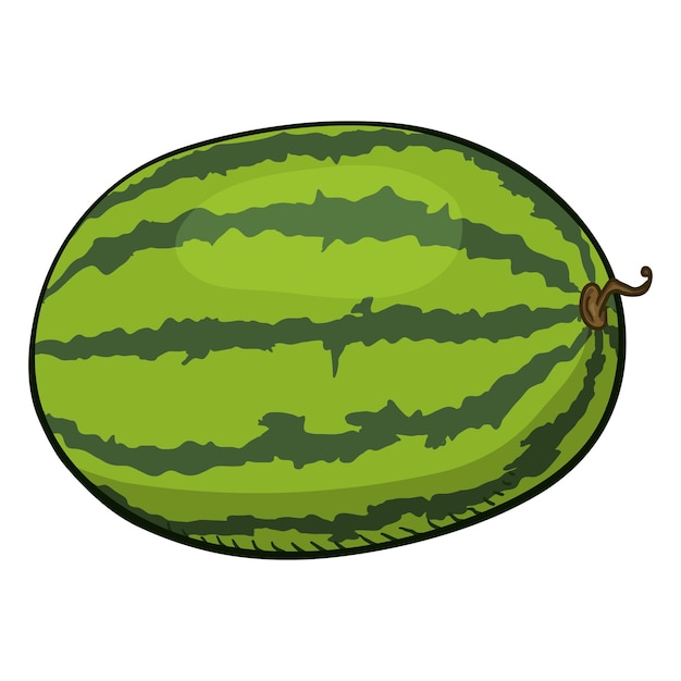 Vector Cartoon Green Watermelon