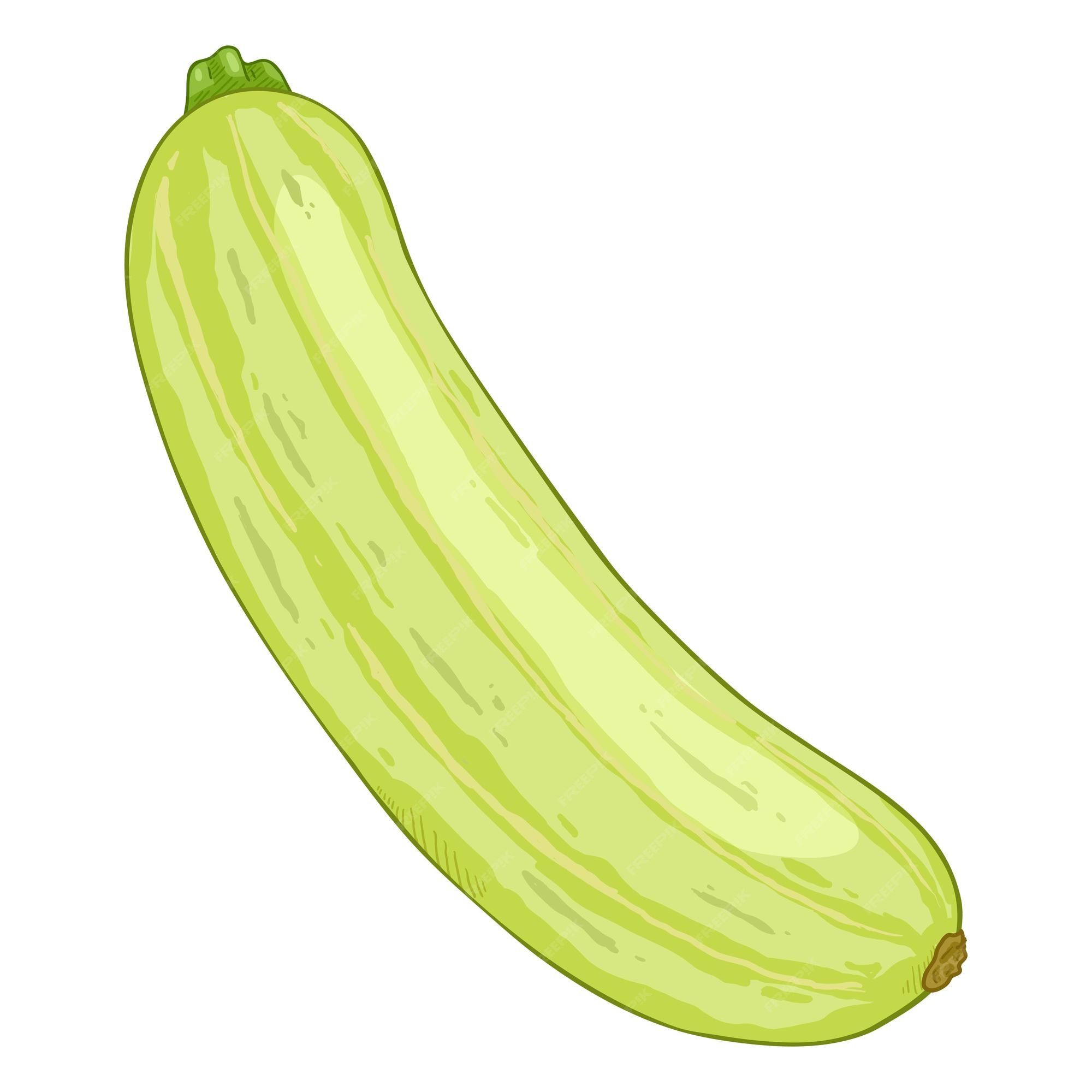 Premium Vector | Vector cartoon green zucchini Premium Vector | Vector cartoon green zucchini
