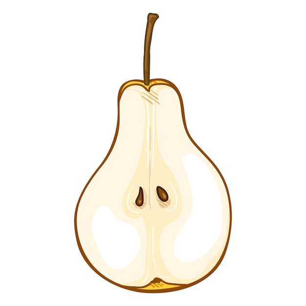 Vector vector cartoon half of pear