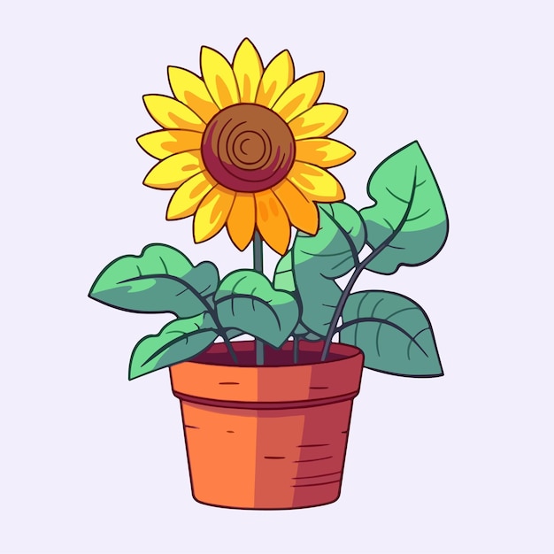 Vector cartoon icon illustration of sunflowers in a pot with a flat style suitable for plants