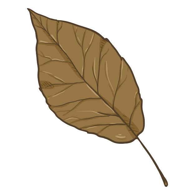 Vector vector cartoon illustration autumn fallen brown leaf of poplar