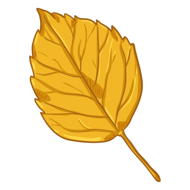 Vector cartoon illustration autumn fallen yellow leaf of birch