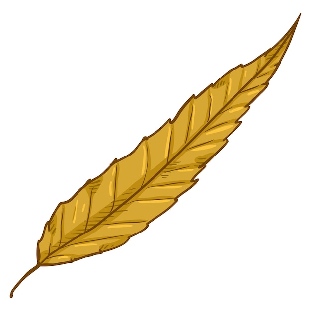 Vector vector cartoon illustration autumn fallen yellow leaf of crack willow