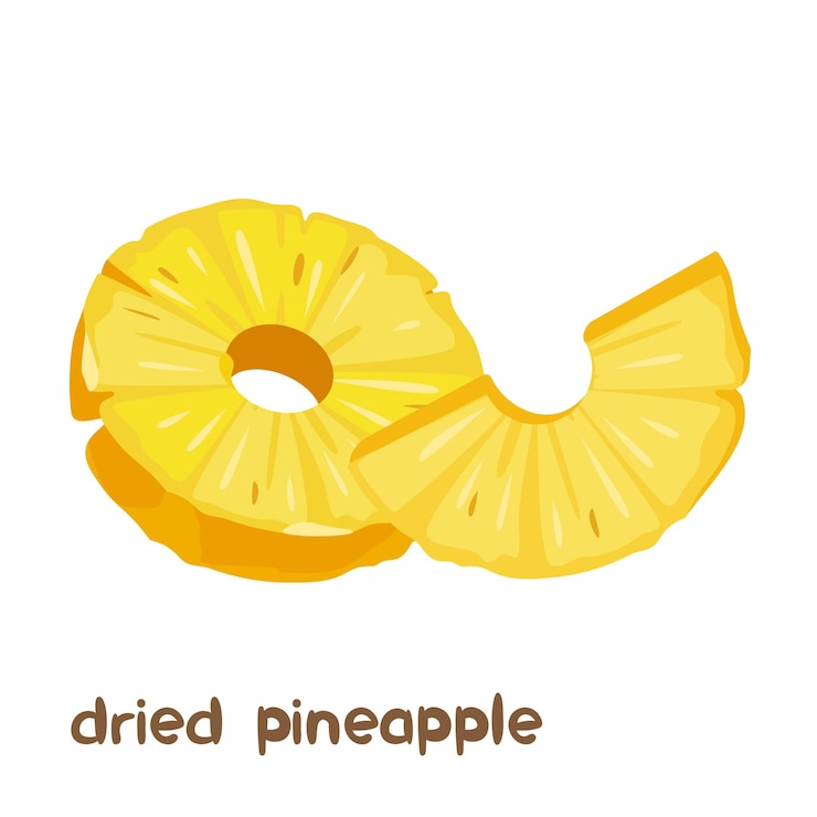 Vector vector cartoon illustration of dried pineapple fruit with lettering isolated on white background