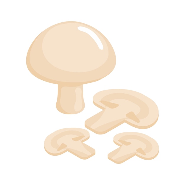 Vector vector cartoon illustration of mushrooms