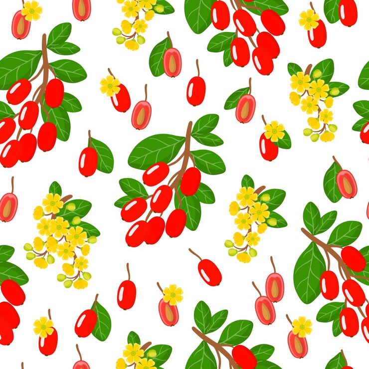 Vector cartoon naadloze patroon met Berberis vulgaris of Berberis exotisch fruit, bloemen en bladeren
