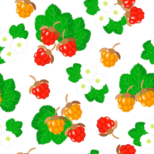 Vector cartoon naadloze patroon met rubus chamaemorus of cloudberry exotische vruchten, bloemen en bladeren