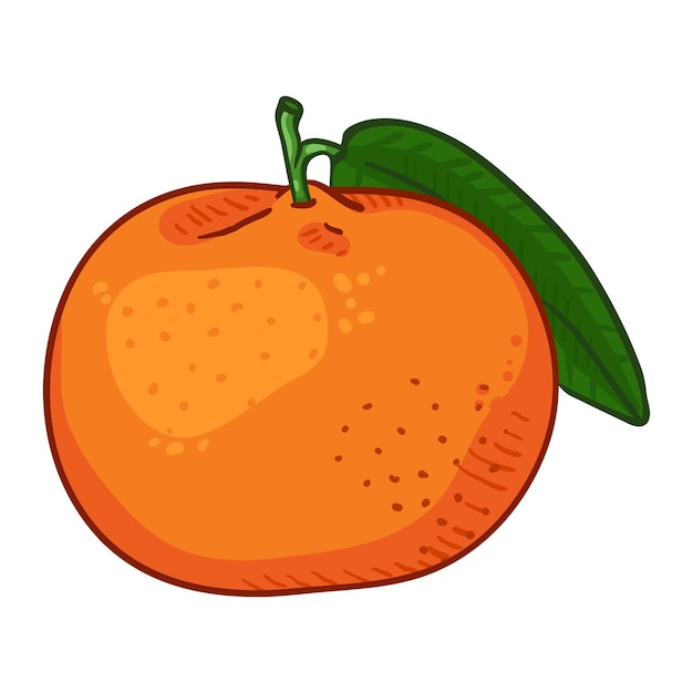 Vector Cartoon Oranje Mandarijn Met Groen Blad