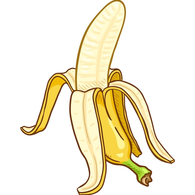 Vector cartoon peeled banana