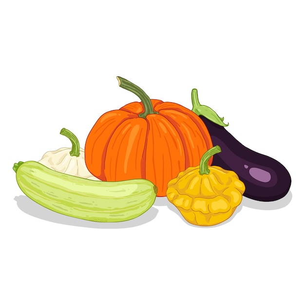 Vector vector cartoon pile of vegetables squash pumpkin and eggplant