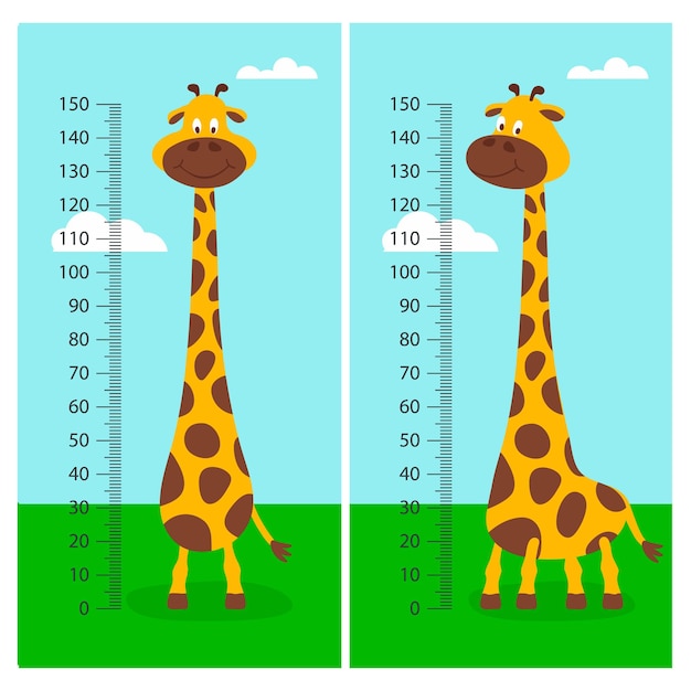 Vector vector cartoon schattige giraffe met liniaal groei meter baby set volledige lengte giraffe op groen gras weide ontwerpsjabloon kind kid concept hoog grappige hand getrokken giraffe children s illustratie