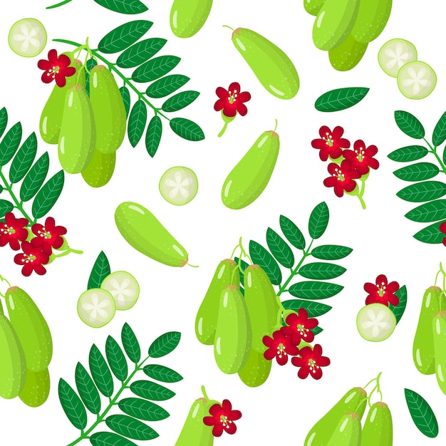 Vector vector cartoon seamless pattern with bilimbi or cucumber tree exotic fruits, flowers and leafs on white background