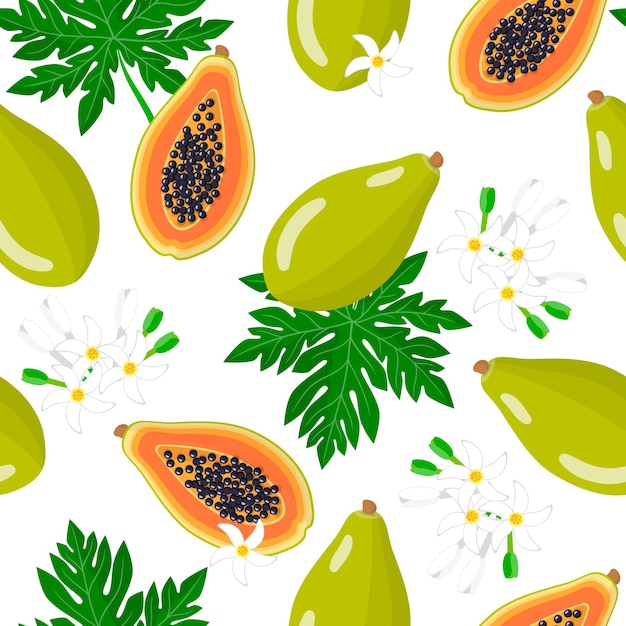 Vector cartoon seamless pattern with carica papaya or melon tree exotic fruits, flowers and leafs