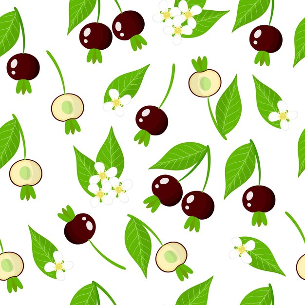 Vector vector cartoon seamless pattern with grumichama cherry exotic fruits, flowers and leafs on white background