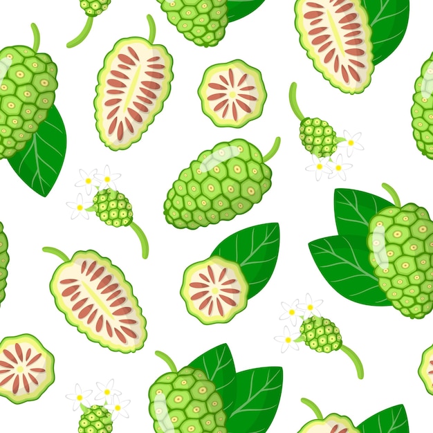 Vector vector cartoon seamless pattern with morinda citrifolia or noni exotic fruits, flowers and leafs on white background