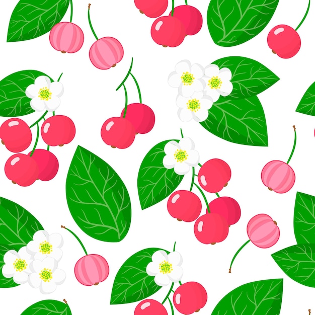 Vector cartoon seamless pattern with muntingia calabura or capulin exotic fruits, flowers and leafs