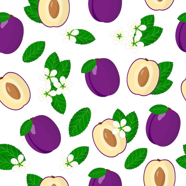 Vector cartoon seamless pattern with prunus domestica or purple plum exotic fruits, flowers and leafs