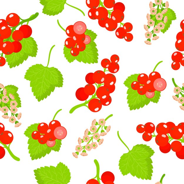 Vector vector cartoon seamless pattern with ribes rubrum or redcurrant exotic fruits, flowers and leafs on white background