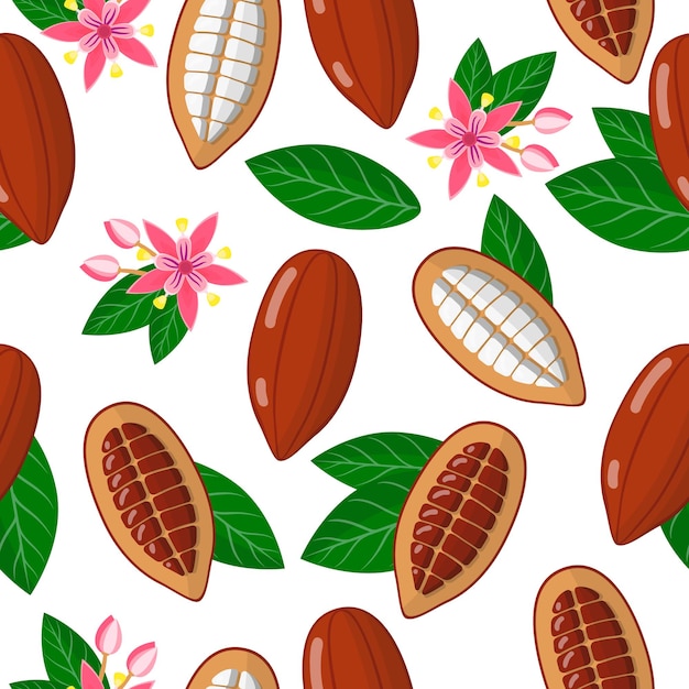 Векторный мультфильм бесшовные модели с theobroma какао или какао дерево экзотических фруктов, цветов и листьев на белом фоне