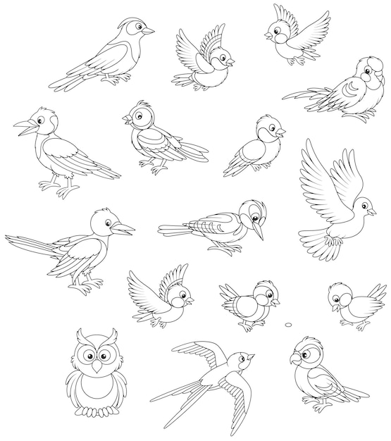 Vector cartoon set of funny birds including several species